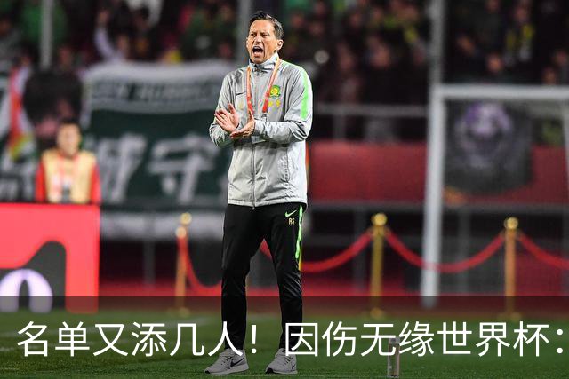 名单又添几人！因伤无缘世界杯：廷伯、巴列尔迪，卡尔、韦斯利..