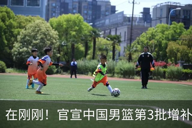 在刚刚！官宣中国男篮第3批增补球员！张镇麟赵睿周琦余嘉豪落选
